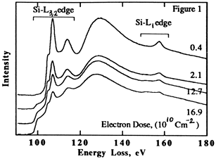 [figure 1]