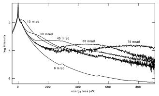 [figure 4]