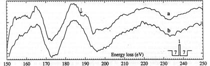 [figure 3]