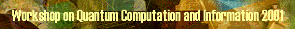 Workshop on Quantum Computation and Information 2001