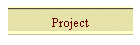 Project